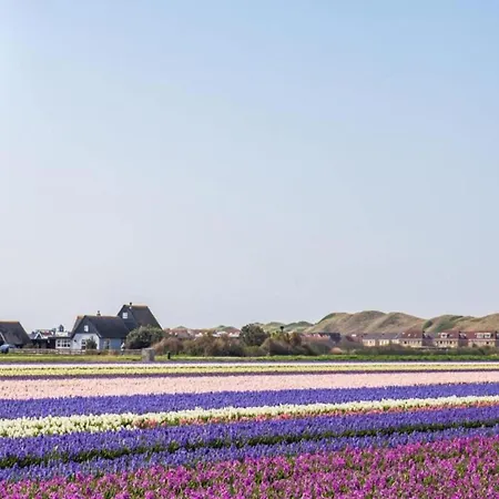 Strandslag 103 Ground Floor * Julianadorp