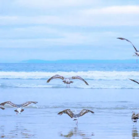 Strandslag 103 Ground Floor *