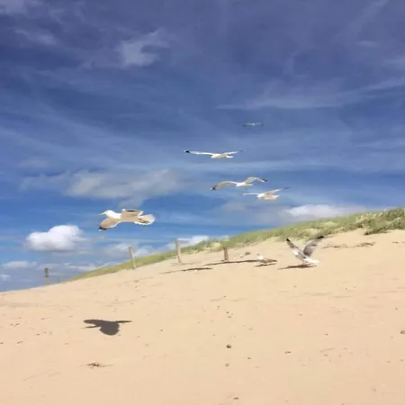 Strandslag 103 Ground Floor Julianadorp