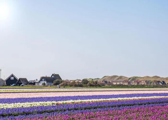 Strandslag 103 Ground Floor * Julianadorp