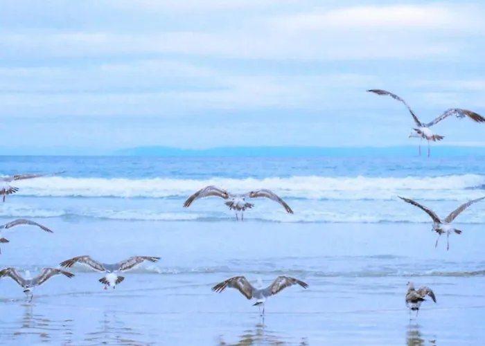 Strandslag 103 Ground Floor *