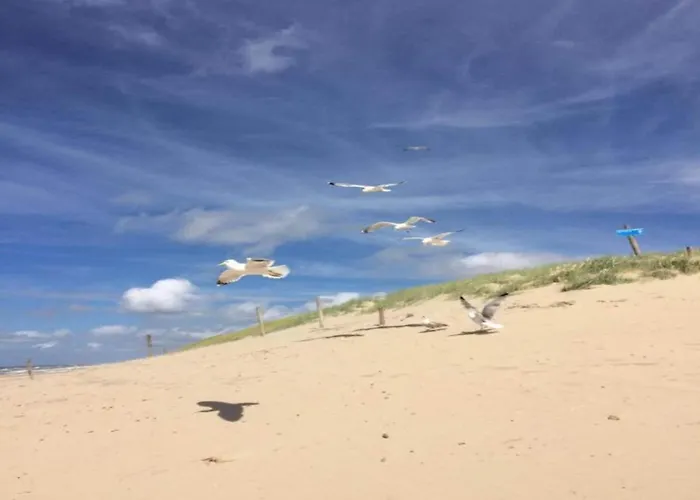 Strandslag 103 Ground Floor Julianadorp